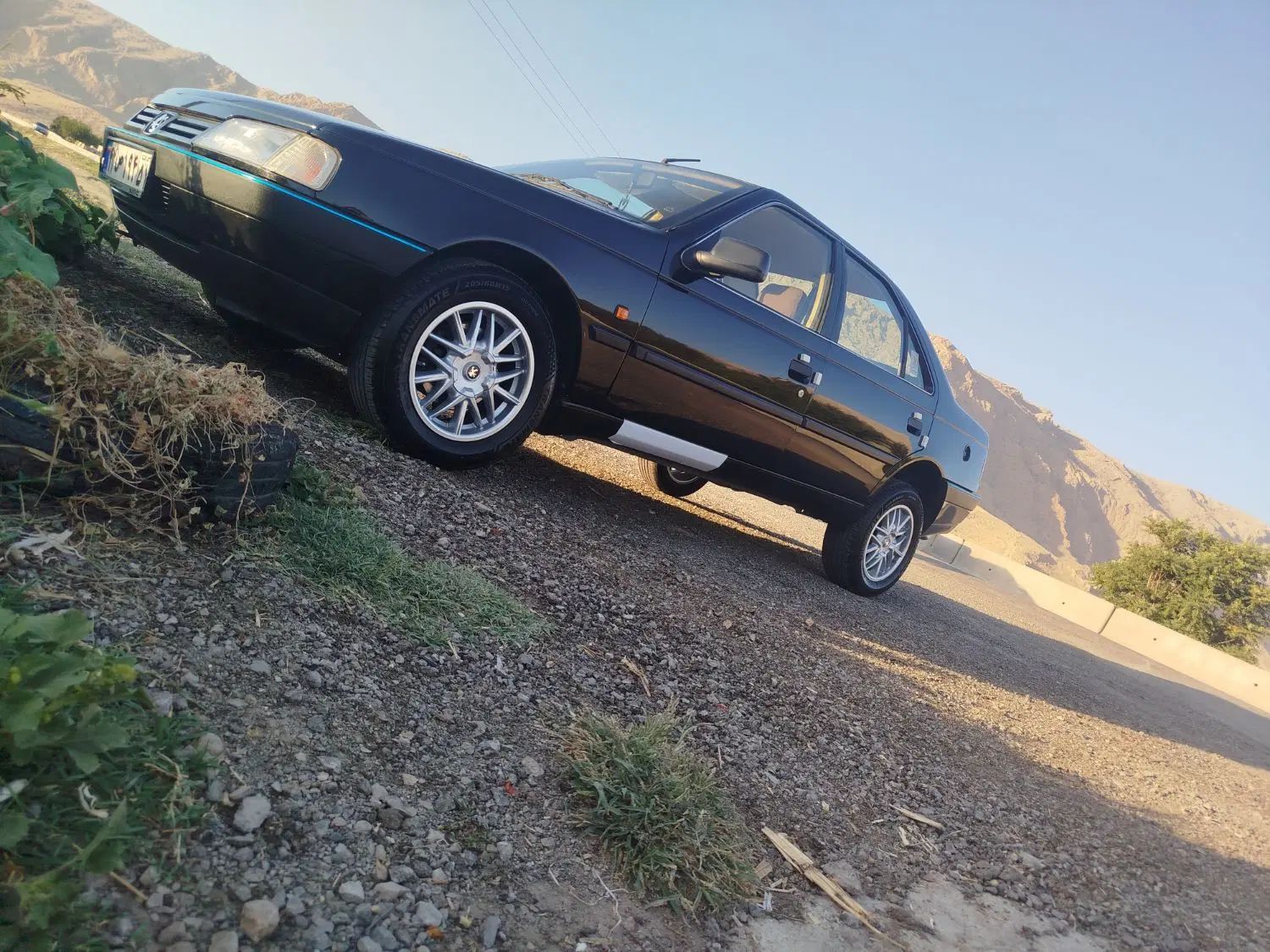 پژو 405 GLX - دوگانه سوز - 1386