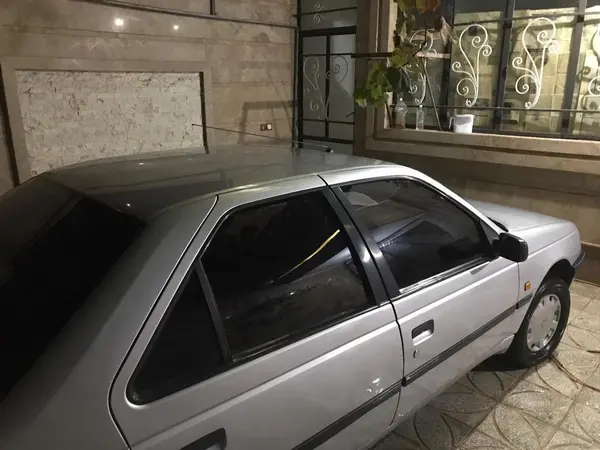 پژو 405 GLX - دوگانه سوز - 1390