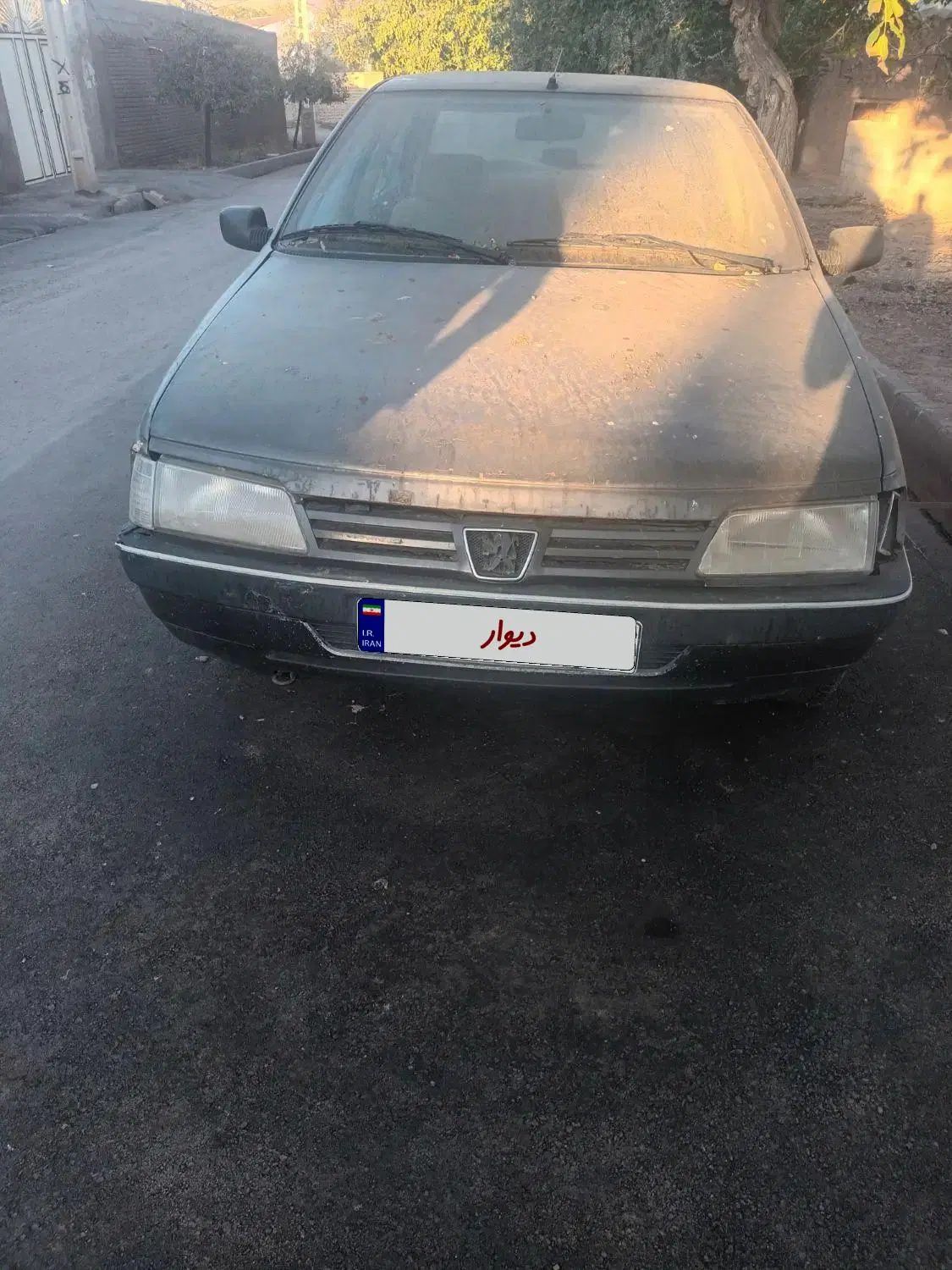 پژو روآ دوگانه سوز - 1386