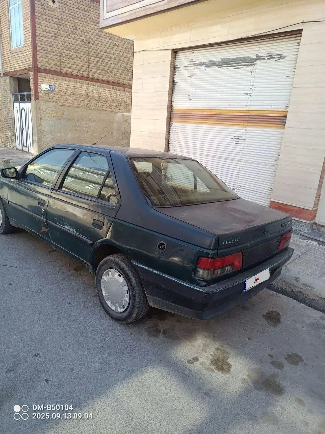 پژو آردی دوگانه سوز CNG - 1384