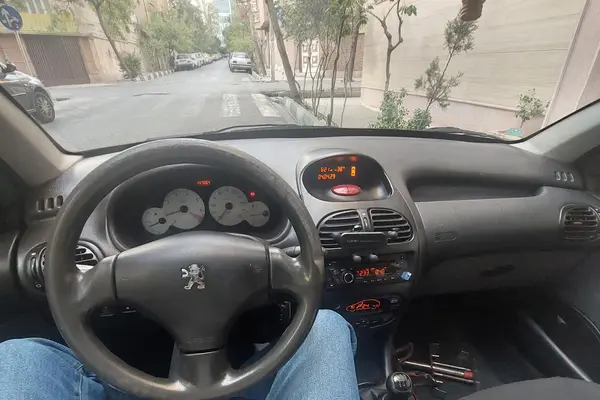 پژو 206 تیپ 5 - 1393