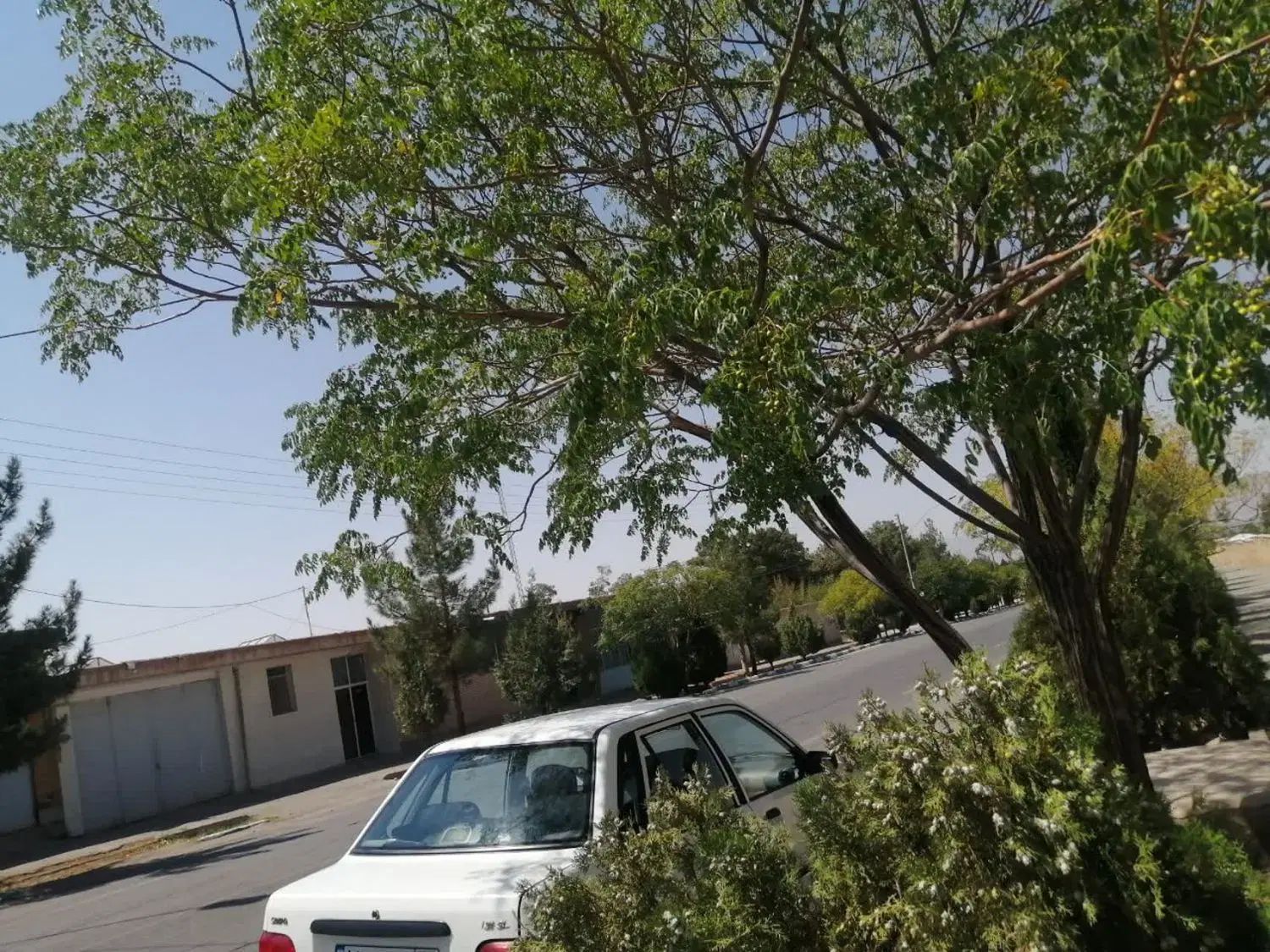 پراید 131 SL - 1391
