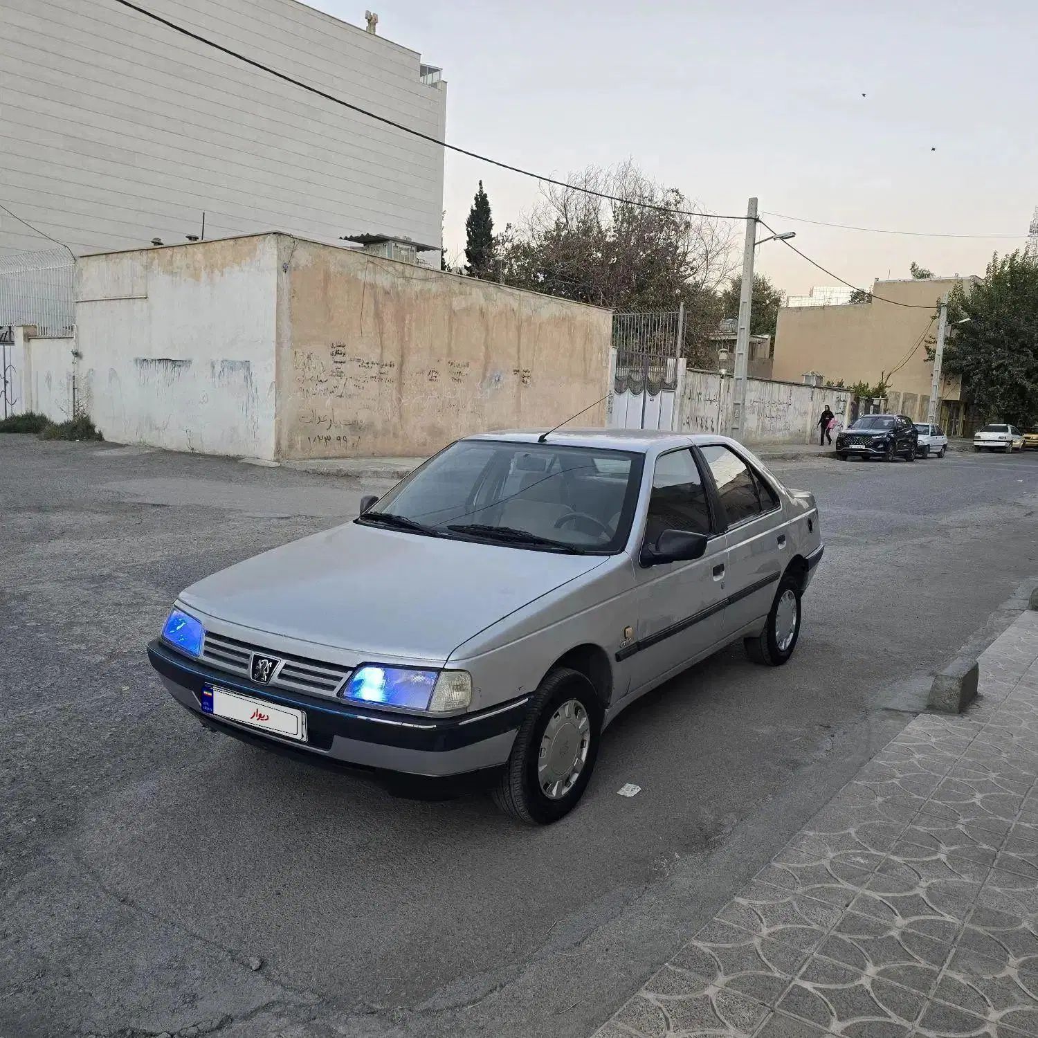 پژو 405 GLX - دوگانه سوز - 1391