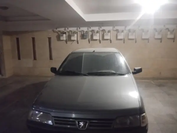 پژو 405 GLX - دوگانه سوز - 1386
