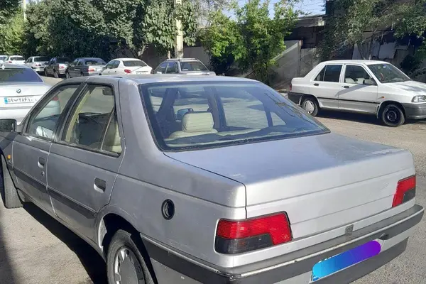 پژو 405 GLX - دوگانه سوز - 1391