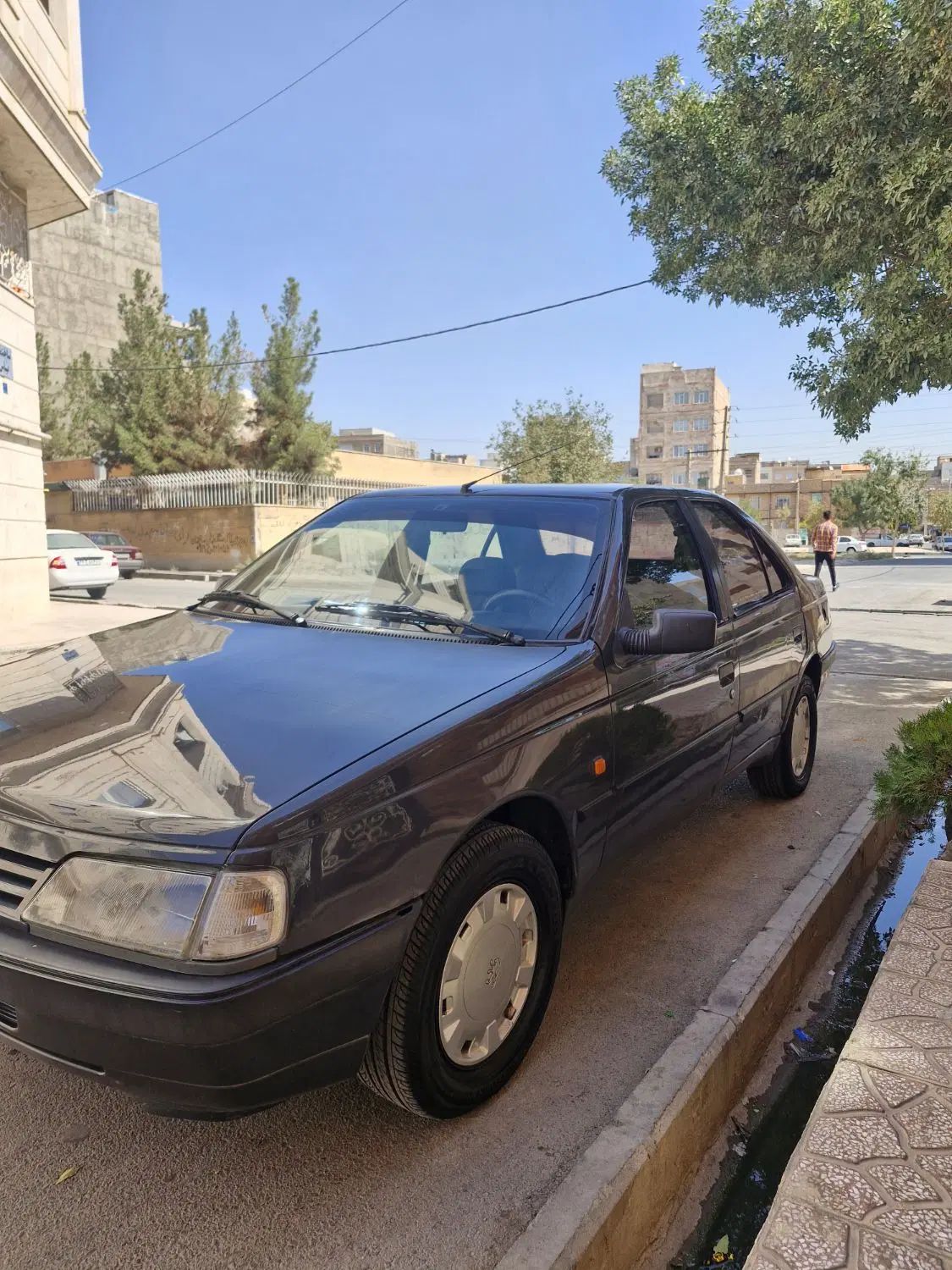 پژو 405 GLX - دوگانه سوز - 1384
