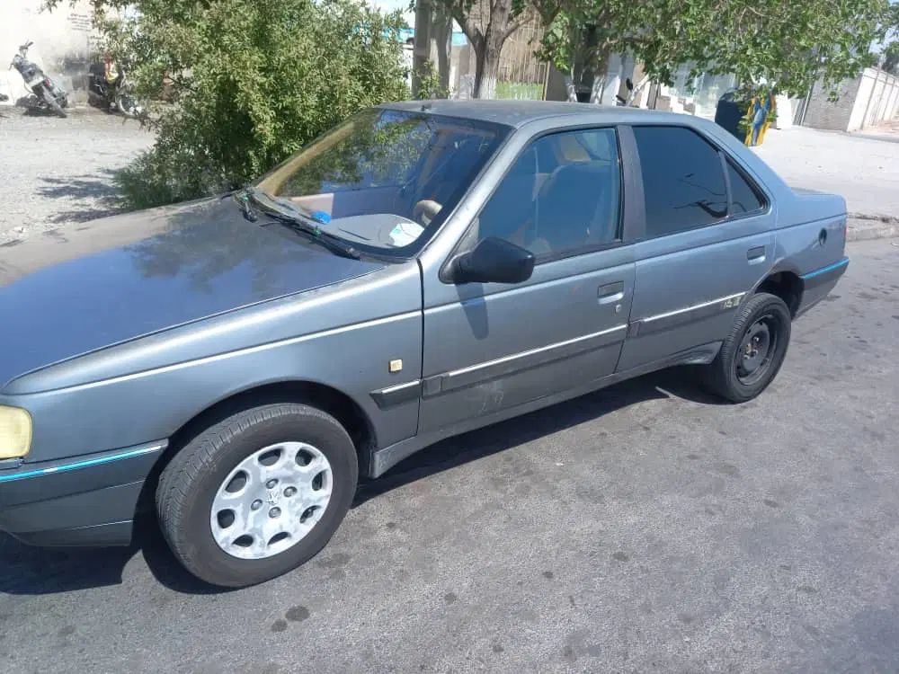 پژو 405 GLX - دوگانه سوز - 1391