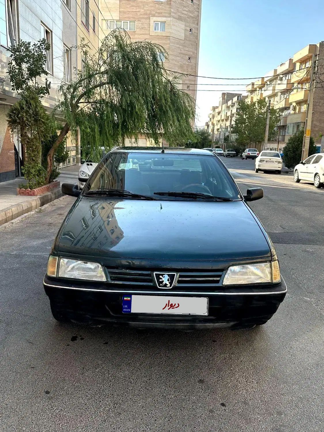 پژو آردی دوگانه سوز CNG - 1385