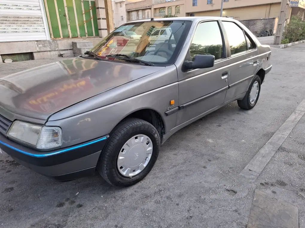 پژو 405 دوگانه سوز GLX - TU5 - 1389