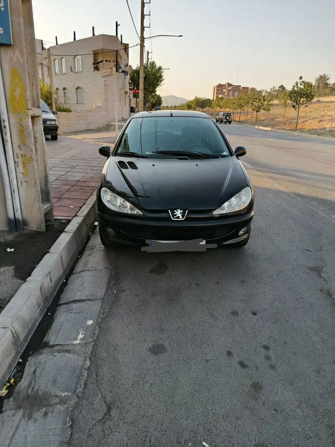 پژو 206 تیپ 2 - 1388