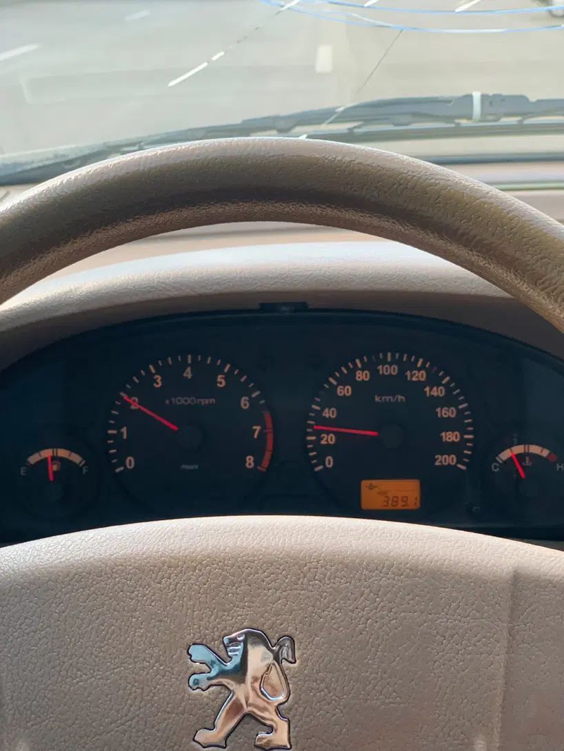 پژو 405 GLX - دوگانه سوز - 1390