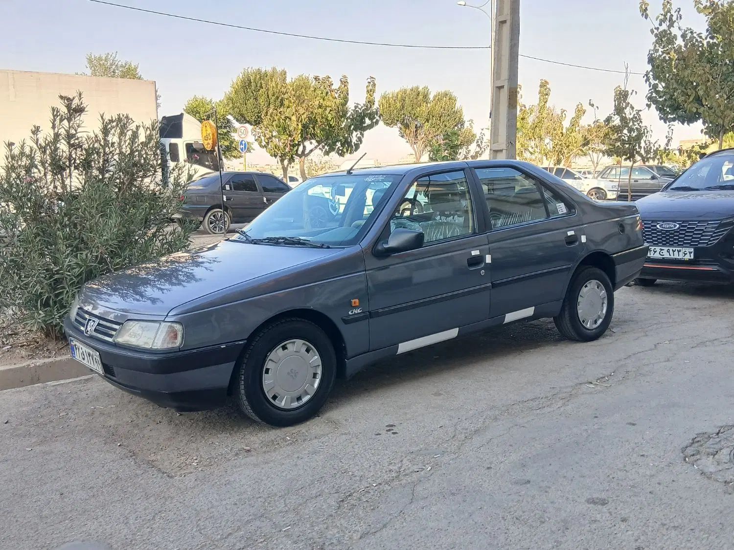 پژو 405 GLX - دوگانه سوز - 1394