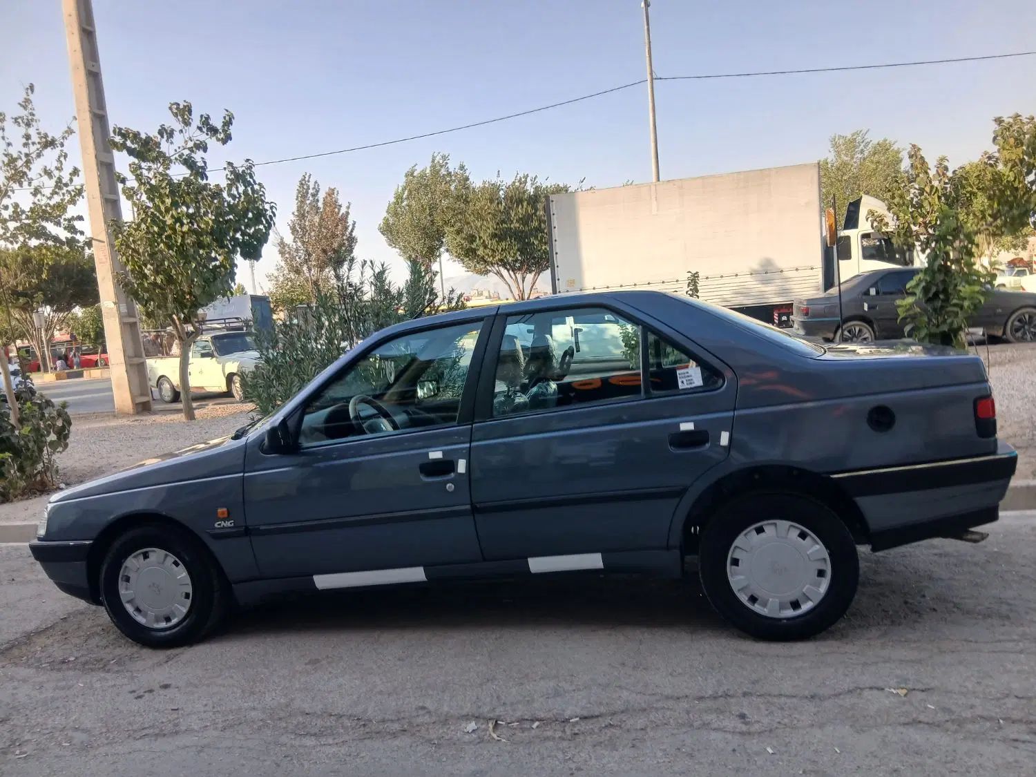 پژو 405 GLX - دوگانه سوز - 1394