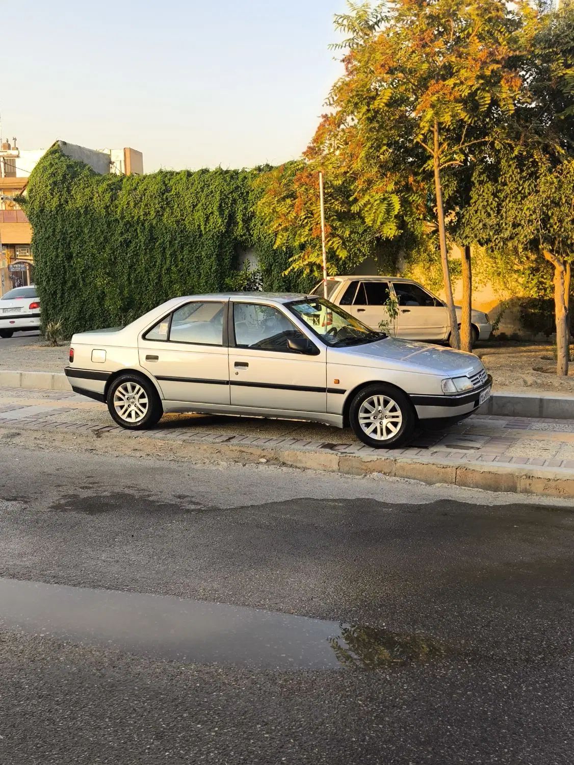 پژو 405 GLX - 1394