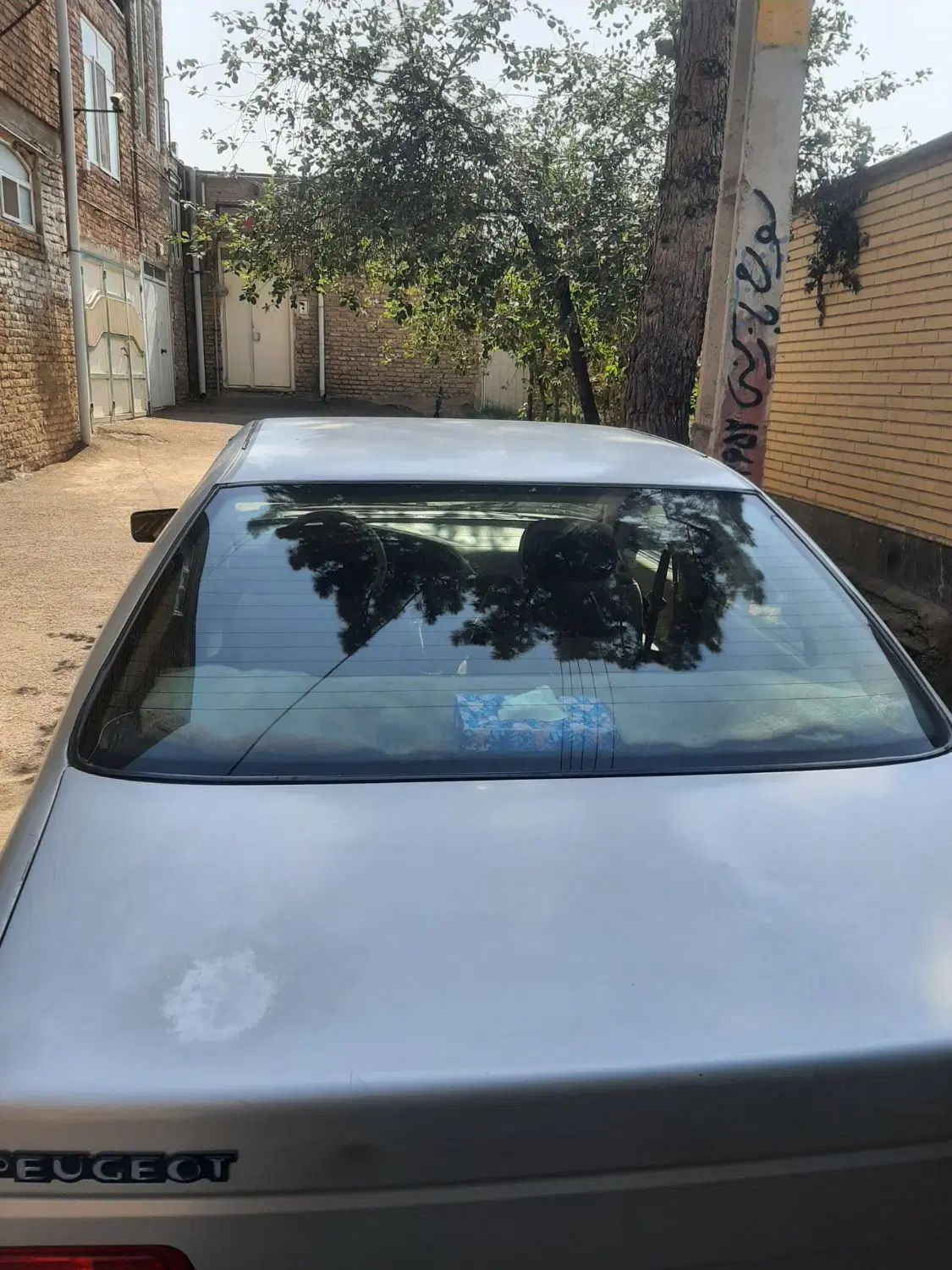 پژو 405 GLX - دوگانه سوز - 1389