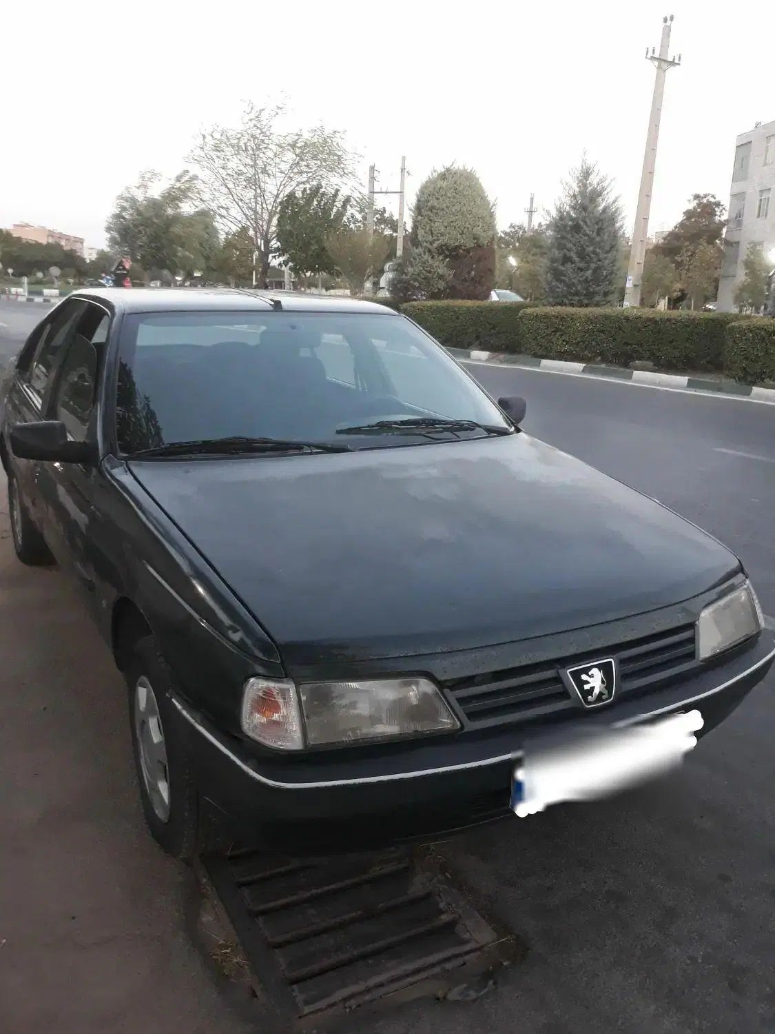 پژو 405 GLX - 1383