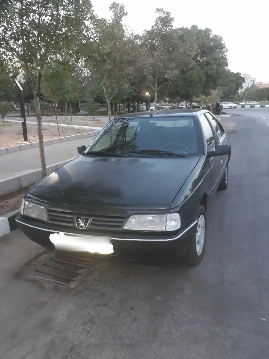 خودرو پژو، 405 آگهی ann_20478296