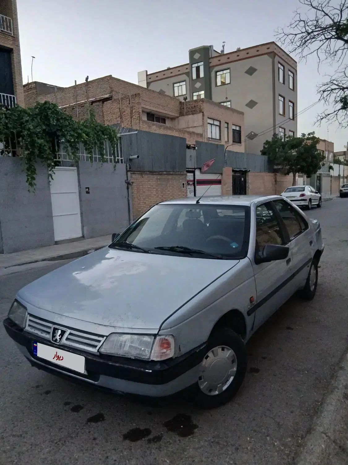 پژو روآ دوگانه سوز - 1387