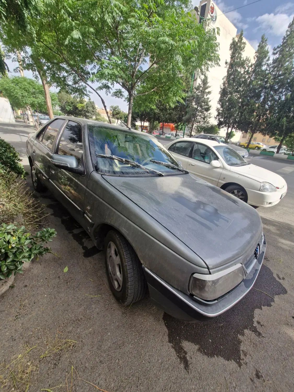 پژو 405 GLX - دوگانه سوز - 1389