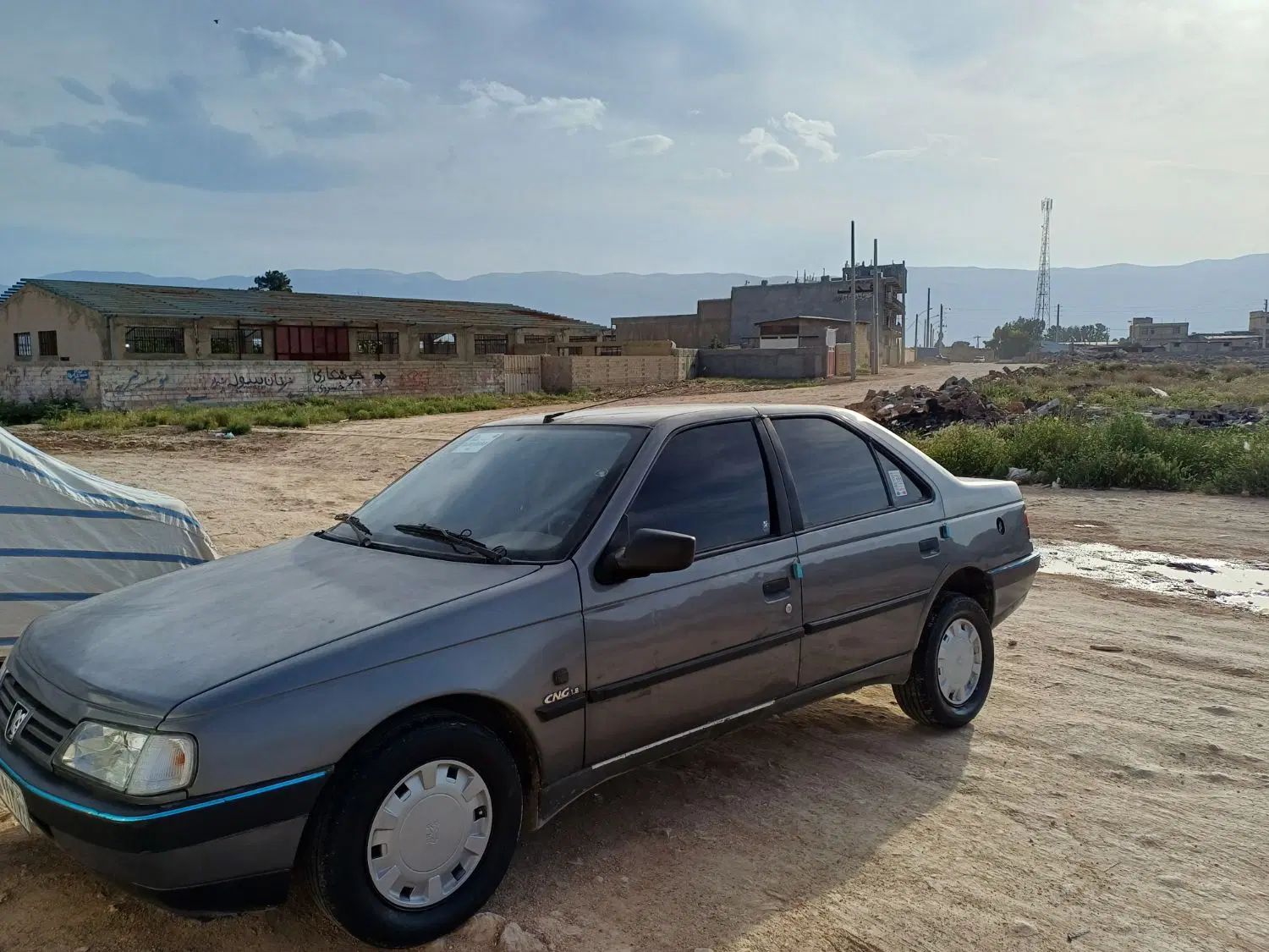پژو 405 GLX - دوگانه سوز - 1391