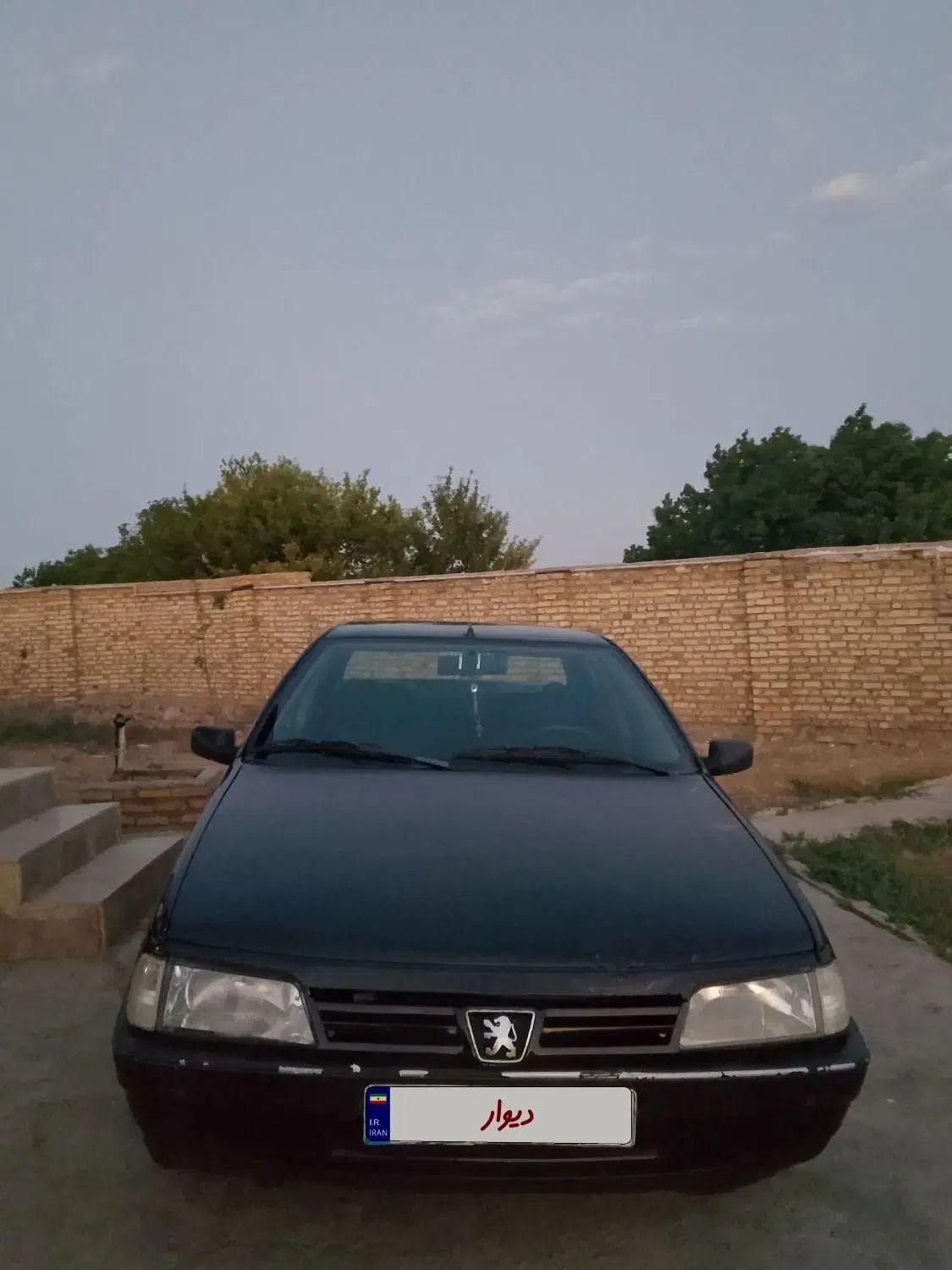 خودرو پژو، 405 آگهی ann_20482222