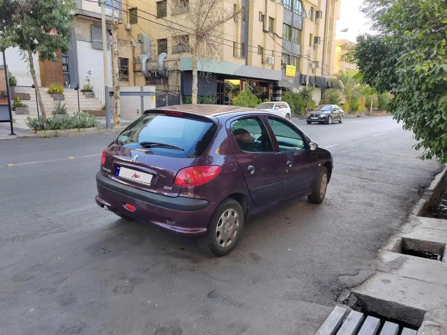 پژو 206 تیپ 2 - 1394