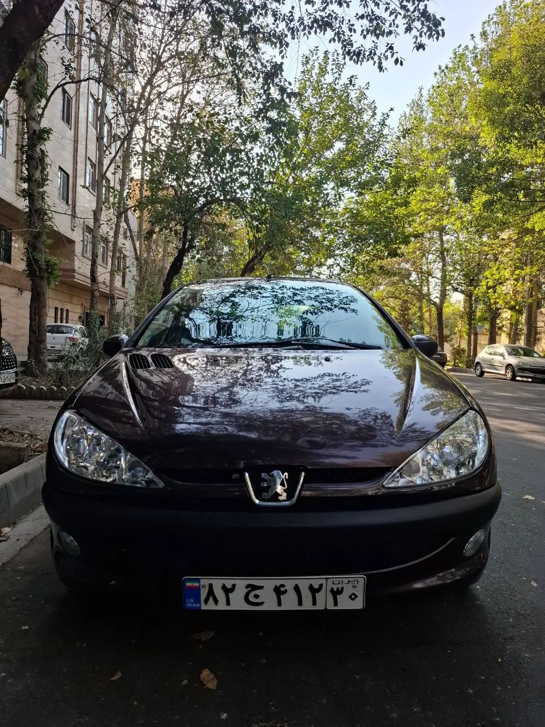 پژو ۲۰۶ صندوق دار v8 - 1394