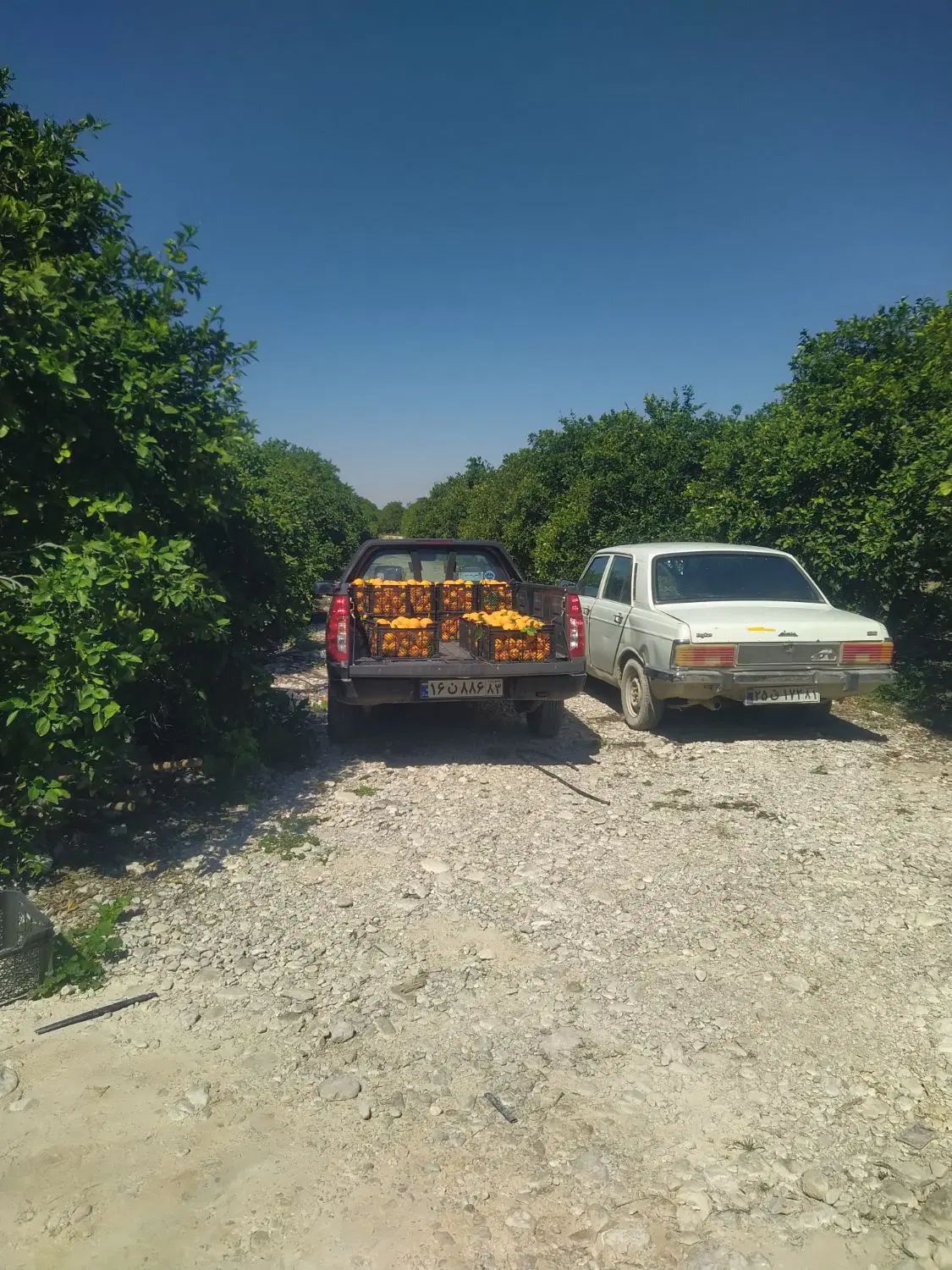 خودرو آریسان، 2 آگهی ann_20484076