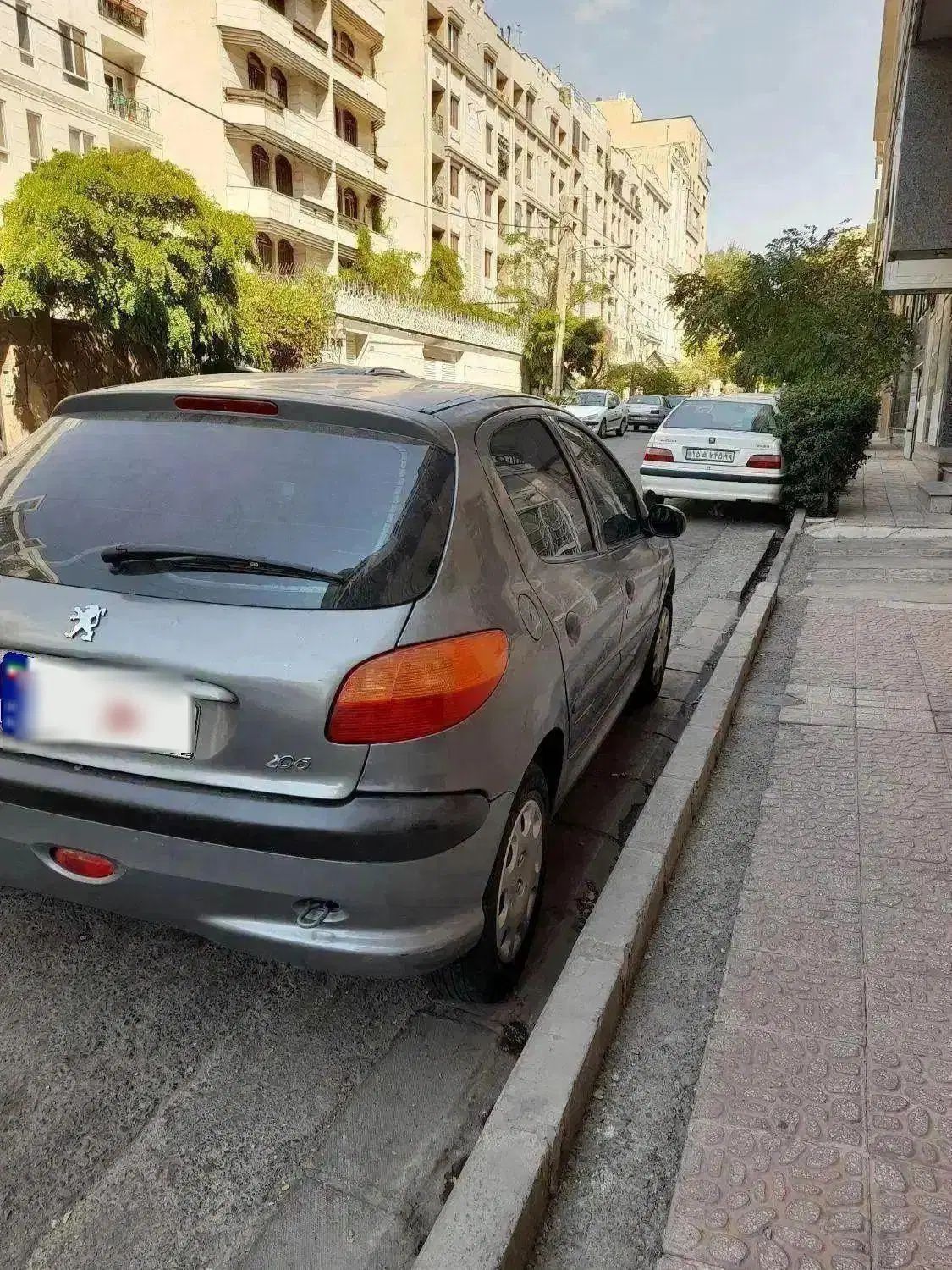 پژو 206 تیپ 2 - 1389