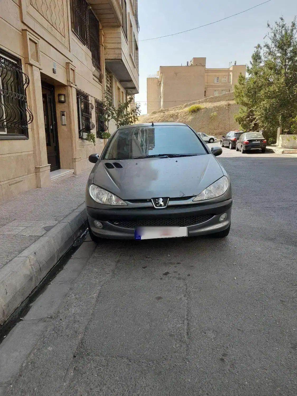 پژو 206 تیپ 2 - 1389