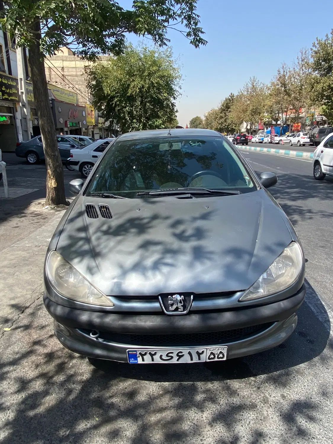 پژو 206 تیپ 2 - 1389