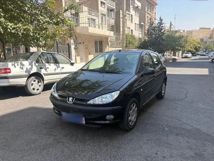 خودرو پژو، 206 آگهی ann_20485423