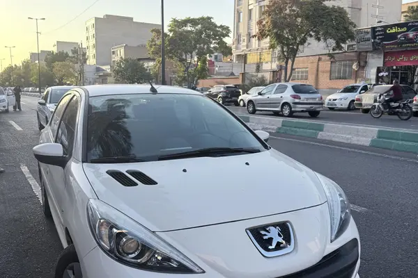 خودرو پژو، 207 آگهی ann_20485499