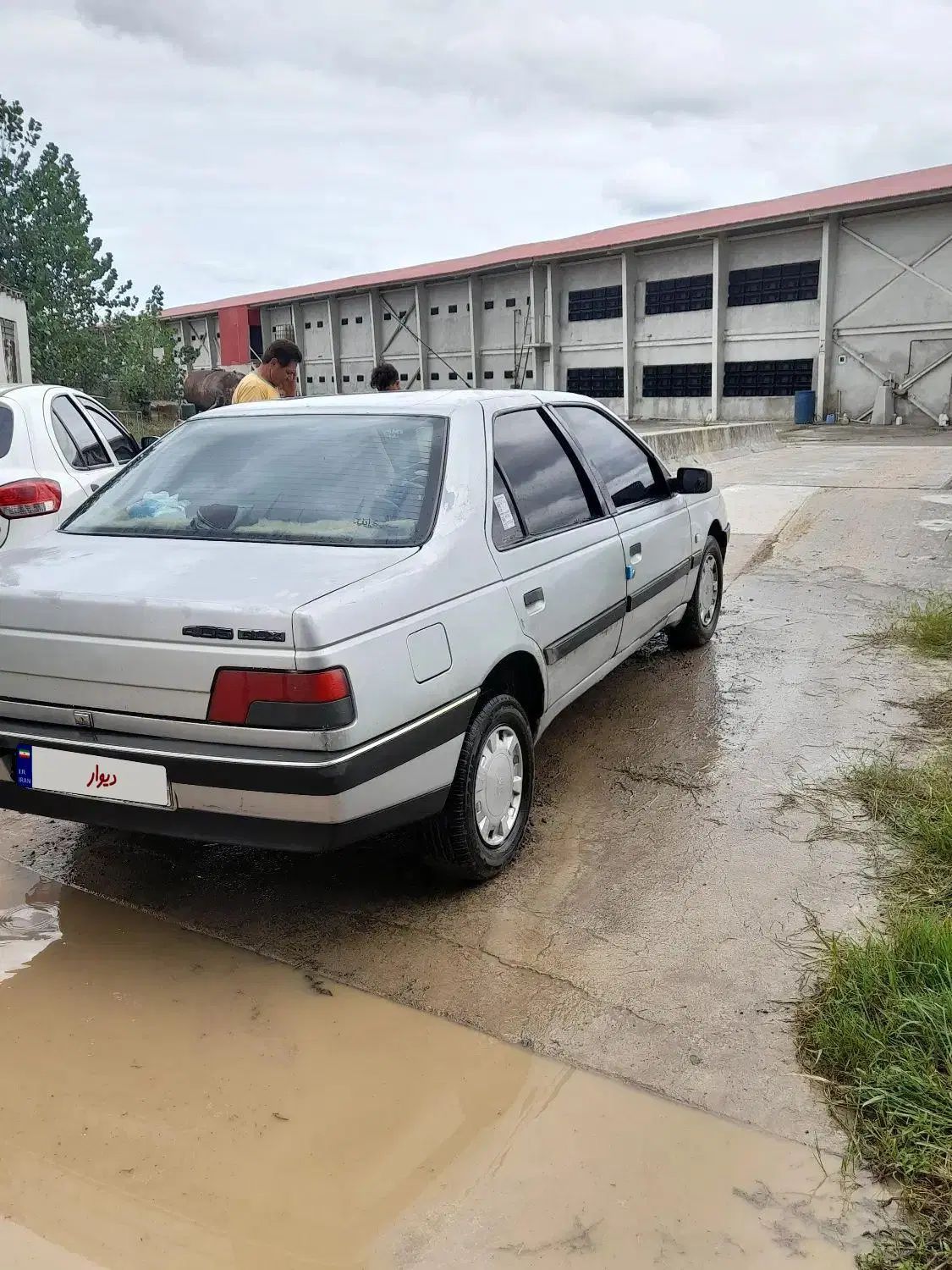 پژو 405 دوگانه سوز GLX - TU5 - 1391