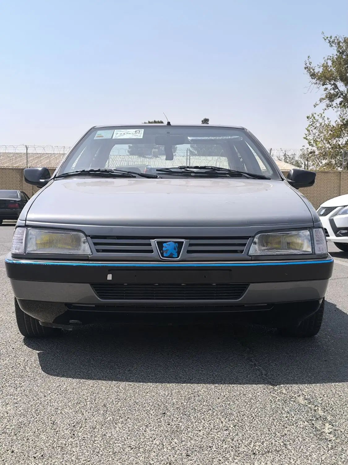 پژو 405 GLX - دوگانه سوز - 1387