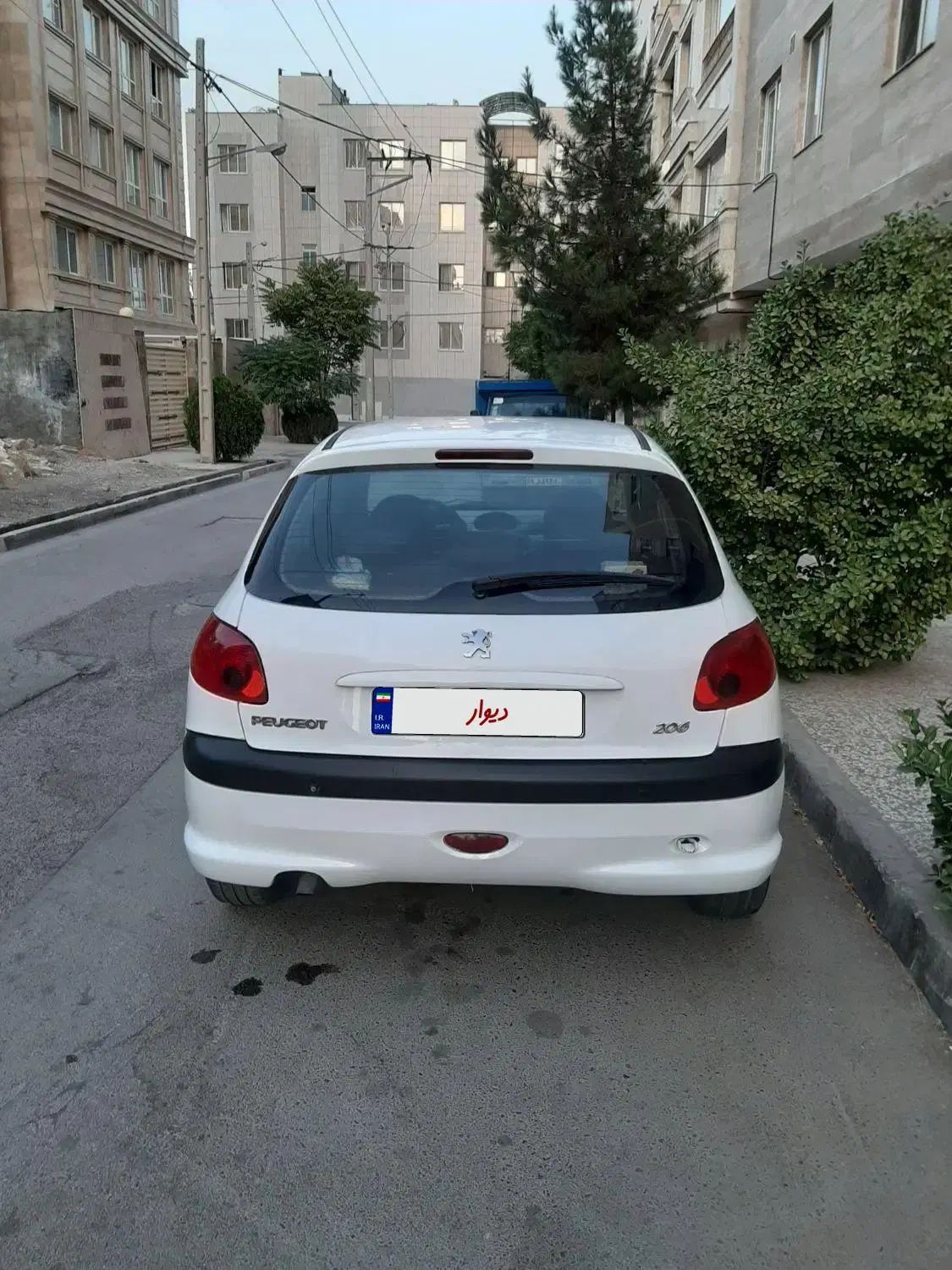 پژو 206 تیپ 5 - 1394
