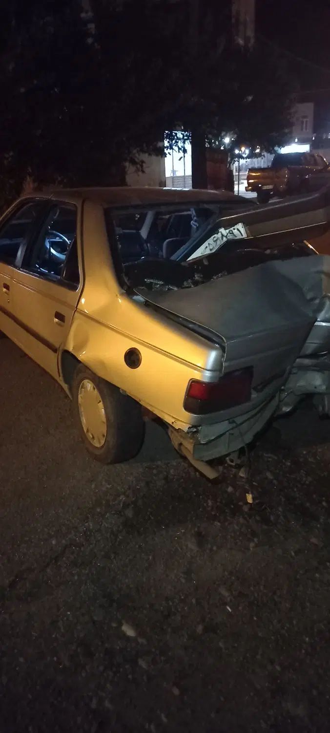 پژو 405 GLI - دوگانه سوز CNG - 1384