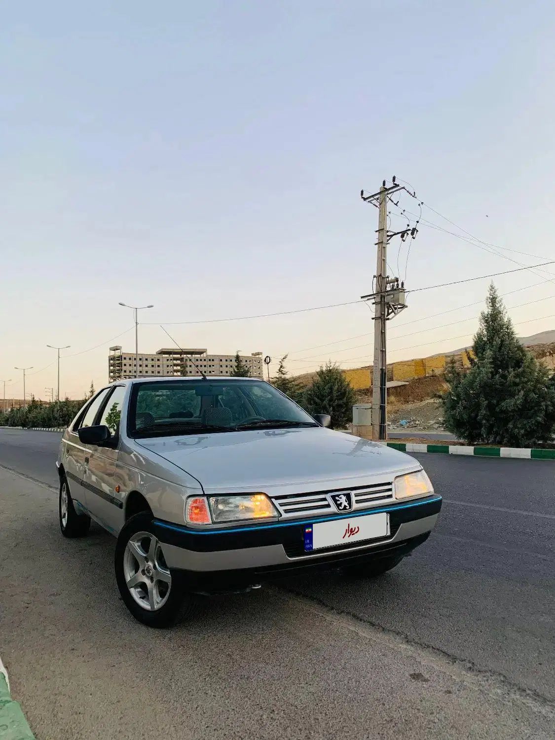 پژو 405 GLX - دوگانه سوز - 1391