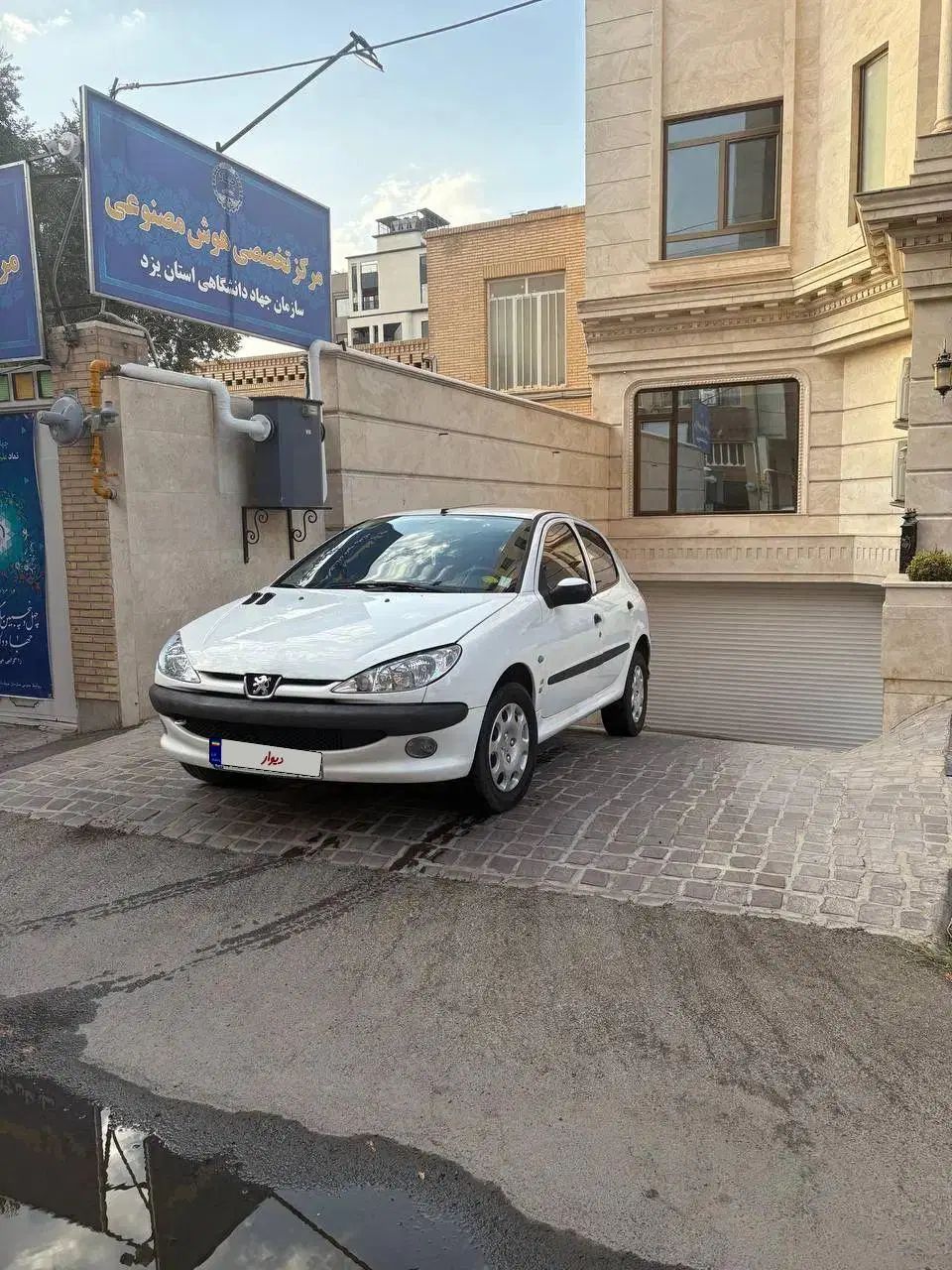 پژو 206 تیپ 5 - 1393