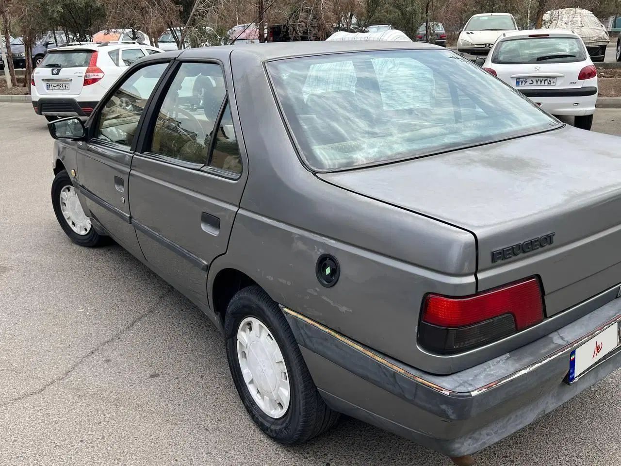 پژو 405 GLX - دوگانه سوز - 1391