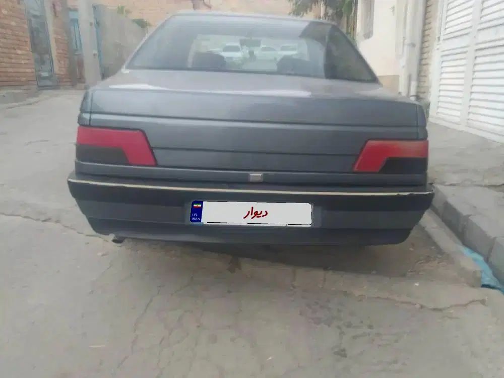پژو 405 دوگانه سوز GLX - TU5 - 1391