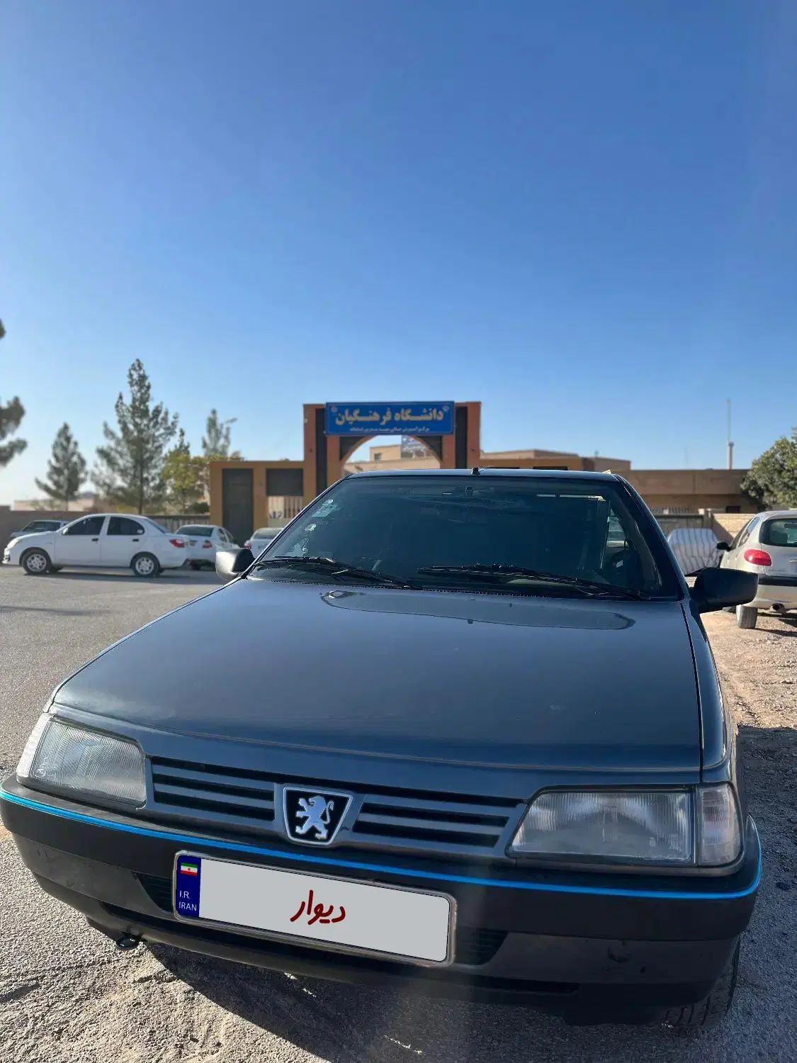 پژو 405 GLX - دوگانه سوز - 1395