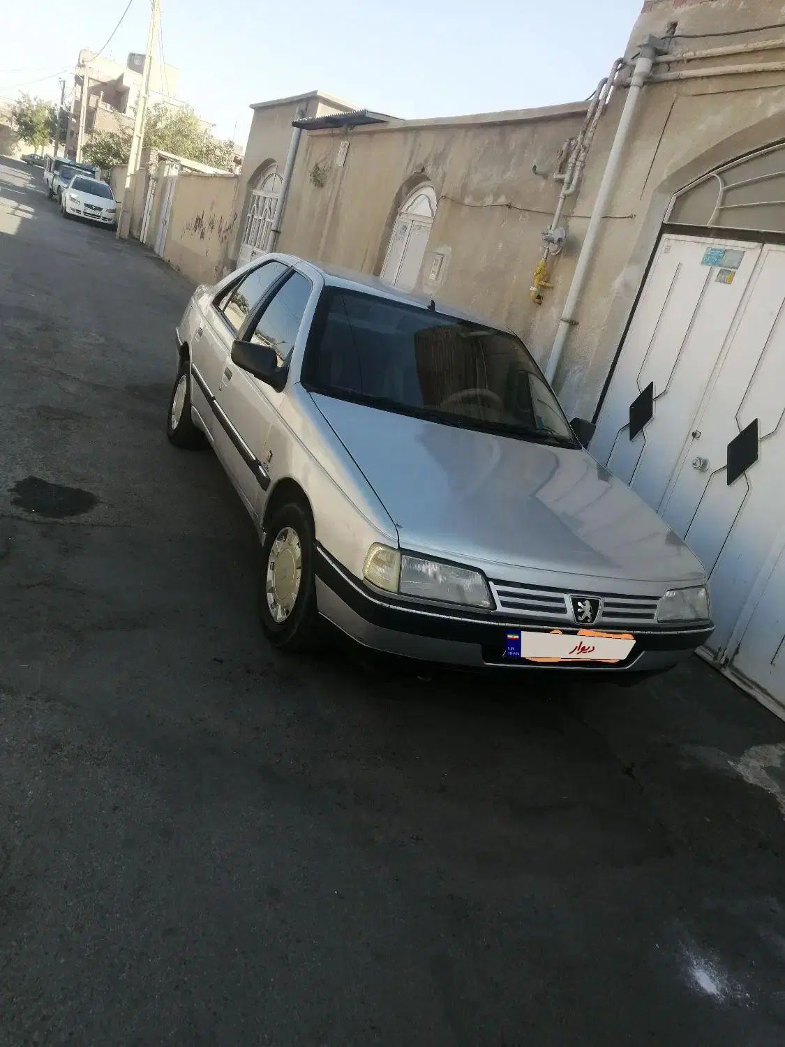 پژو 405 GLX - دوگانه سوز - 1391