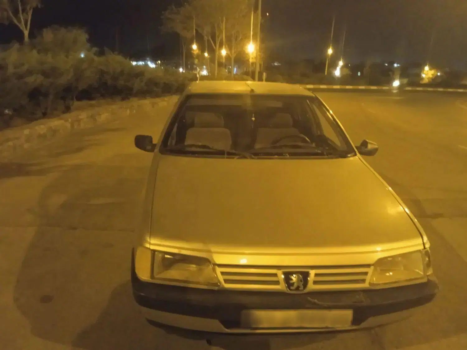 پژو 405 GLX - دوگانه سوز - 1386