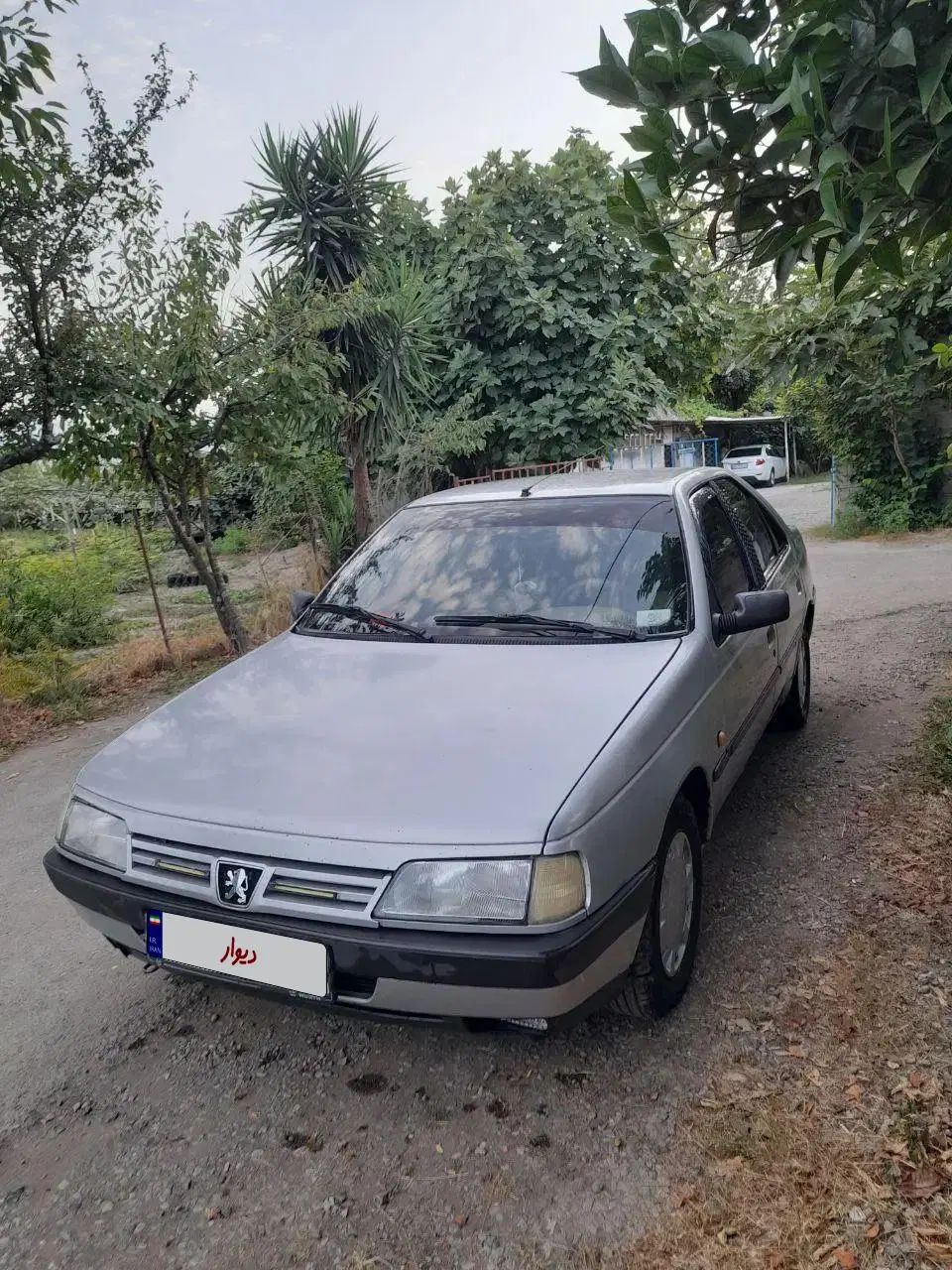 پژو 405 GLX - دوگانه سوز - 1391