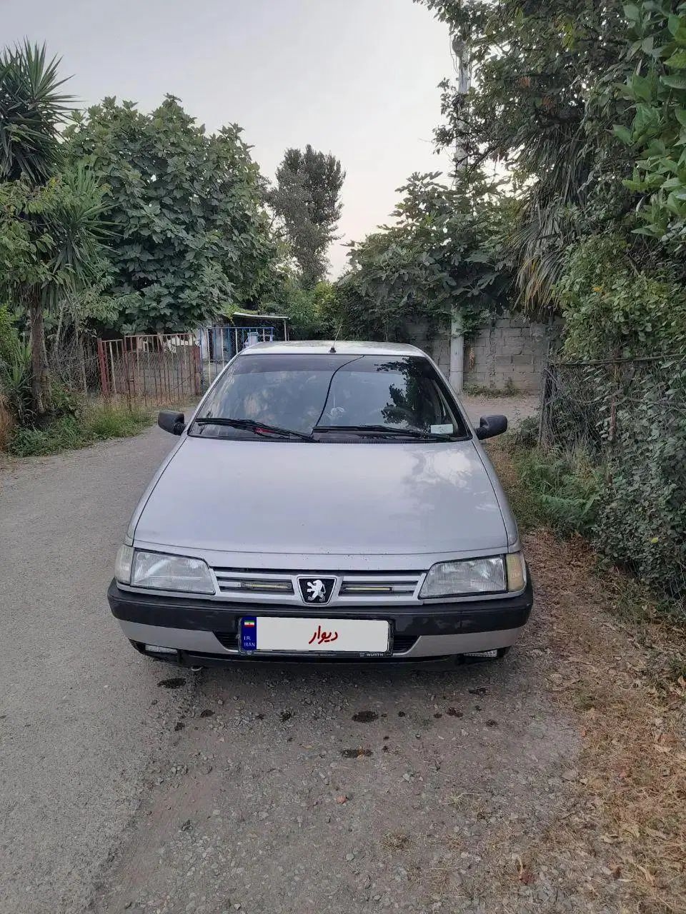 پژو 405 GLX - دوگانه سوز - 1391