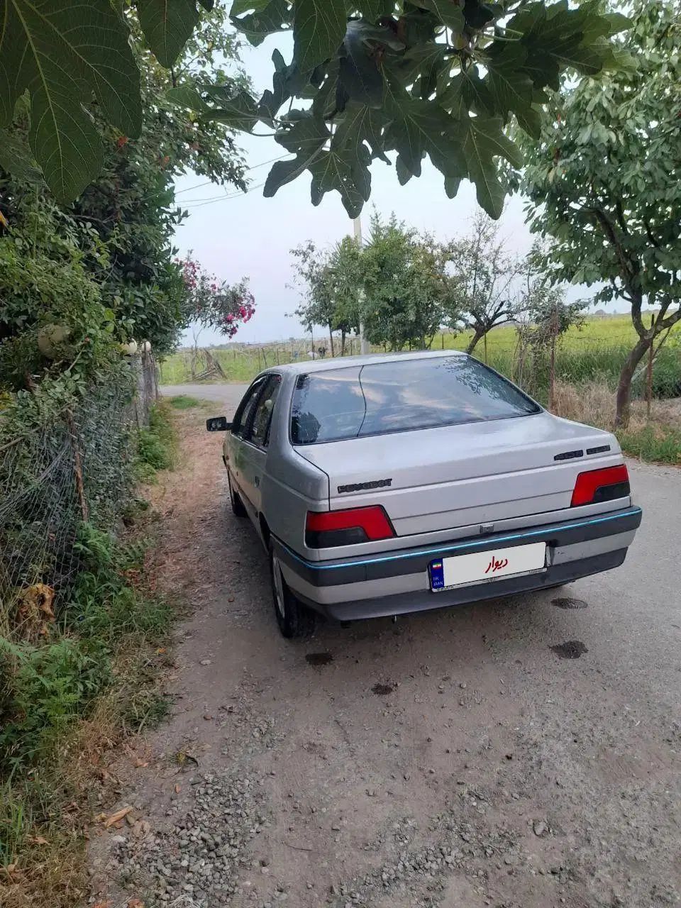 پژو 405 GLX - دوگانه سوز - 1391