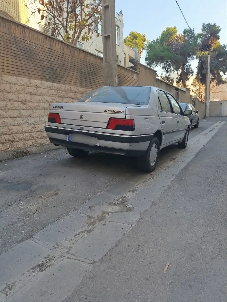 پژو 405 GLX - 1389