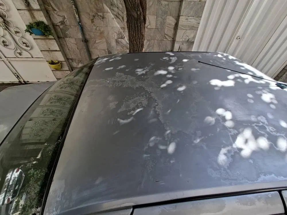پژو 405 GLX - دوگانه سوز - 1387
