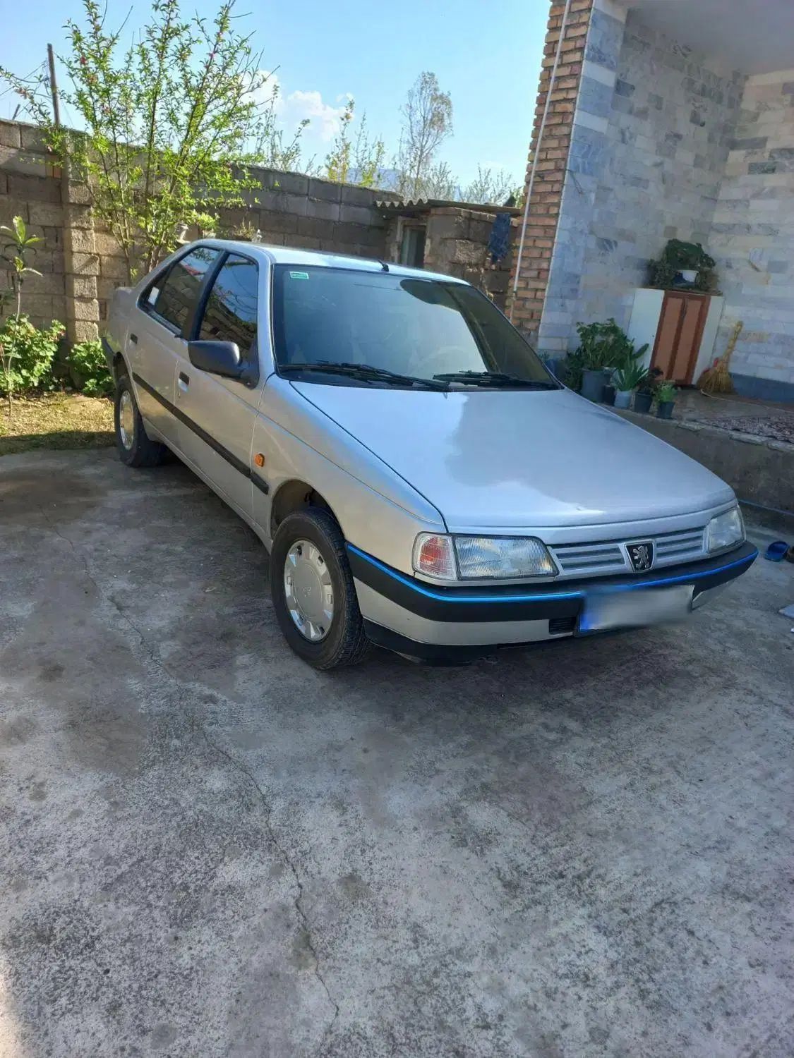 پژو 405 GLX - دوگانه سوز - 1389
